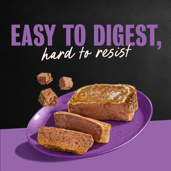 Cesar Classic Loaf in Sauce Wet Dog Food, Meaty Selects, 3.5 oz, 36 Count | Made in USA, Real meat #1 ingredient, no fillers or artificial flavors, formulated without grains, easy peel trays