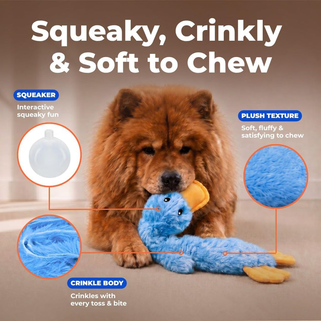 Best Pet Supplies Interactive Squeaky Dog Toy - Crinkle Duck, Yellow | Stuffing Free Body, Soft, Squeaks & Crinkles, No Mess, Perfect for Moderate Chewers, Toss and Fetch Play