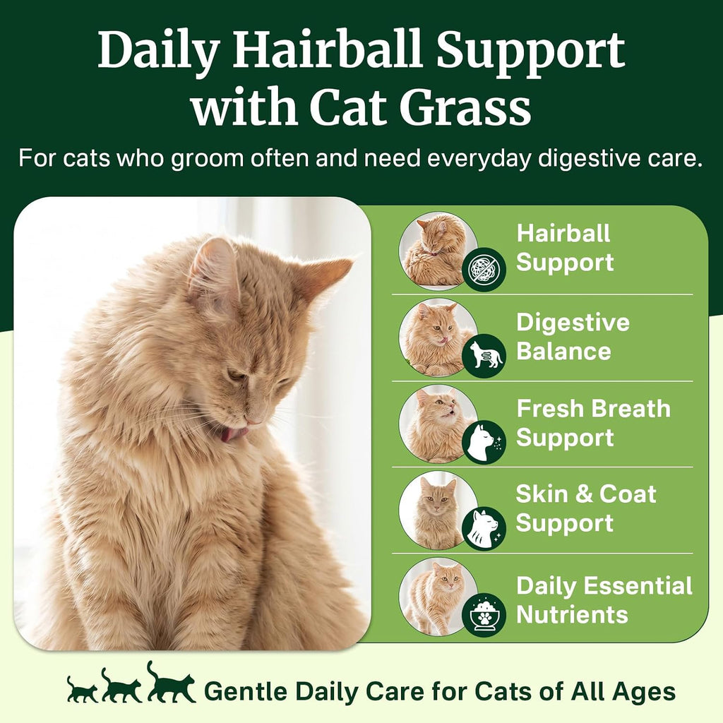 Cat Grass Treats Chews, Cat Treats for Indoor Cats 500 Ct, Hairball Control