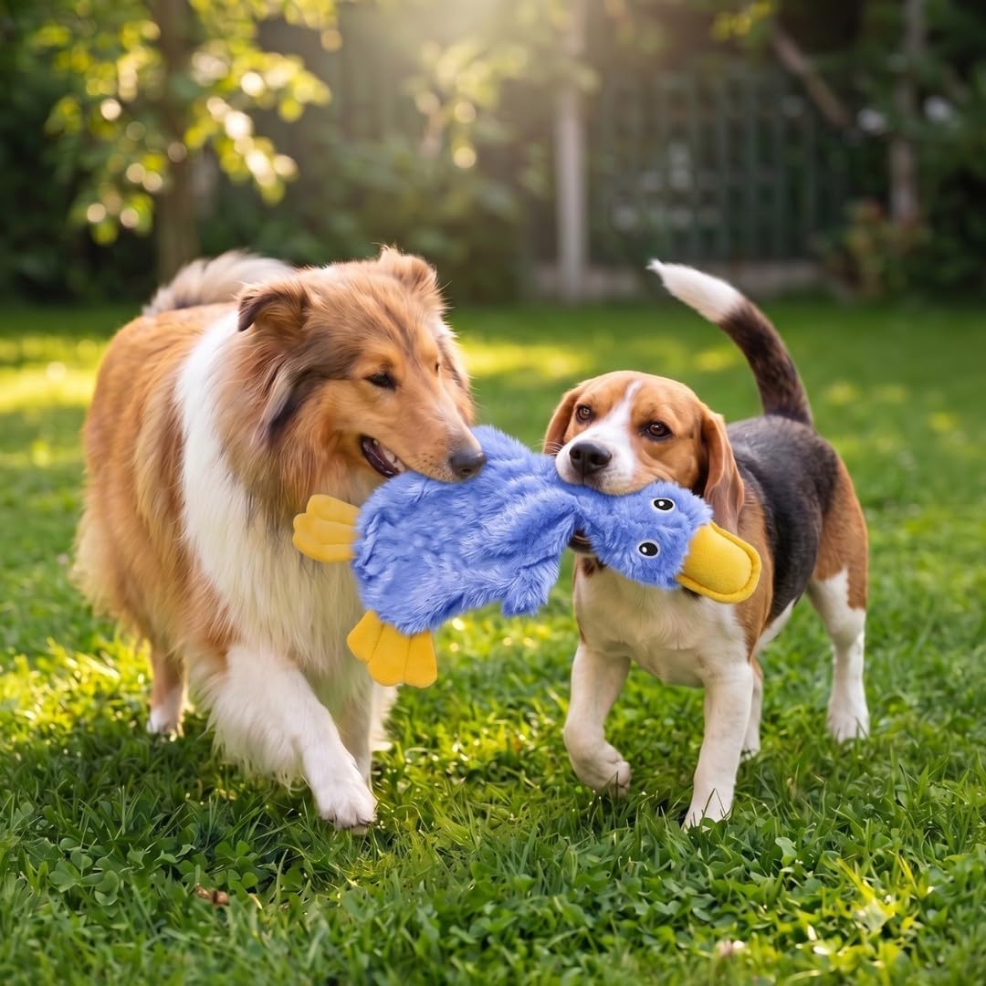 Best Pet Supplies Interactive Squeaky Dog Toy - Crinkle Duck, Yellow | Stuffing Free Body, Soft, Squeaks & Crinkles, No Mess, Perfect for Moderate Chewers, Toss and Fetch Play