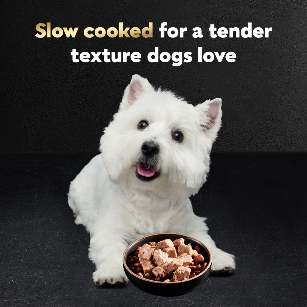 Cesar Classic Loaf in Sauce Wet Dog Food, Meaty Selects, 3.5 oz, 36 Count | Made in USA, Real meat #1 ingredient, no fillers or artificial flavors, formulated without grains, easy peel trays