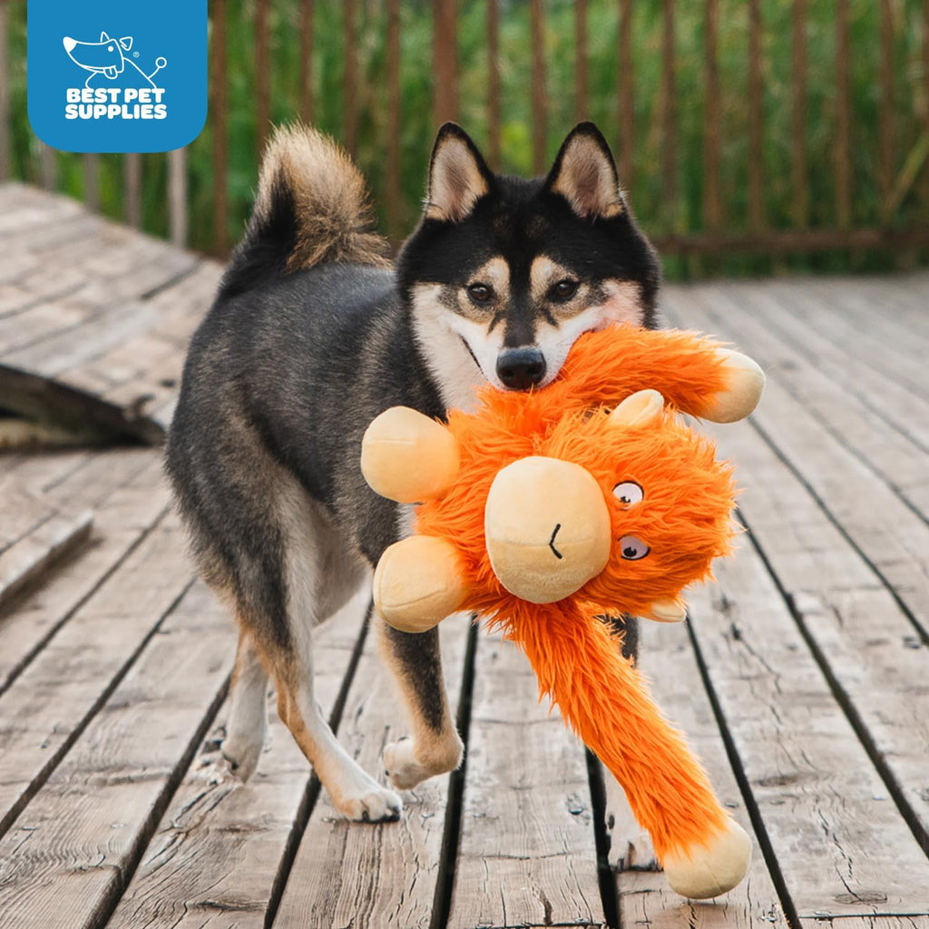 Best Pet Supplies Interactive Squeaky Dog Toy - Crinkle Duck, Yellow | Stuffing Free Body, Soft, Squeaks & Crinkles, No Mess, Perfect for Moderate Chewers, Toss and Fetch Play