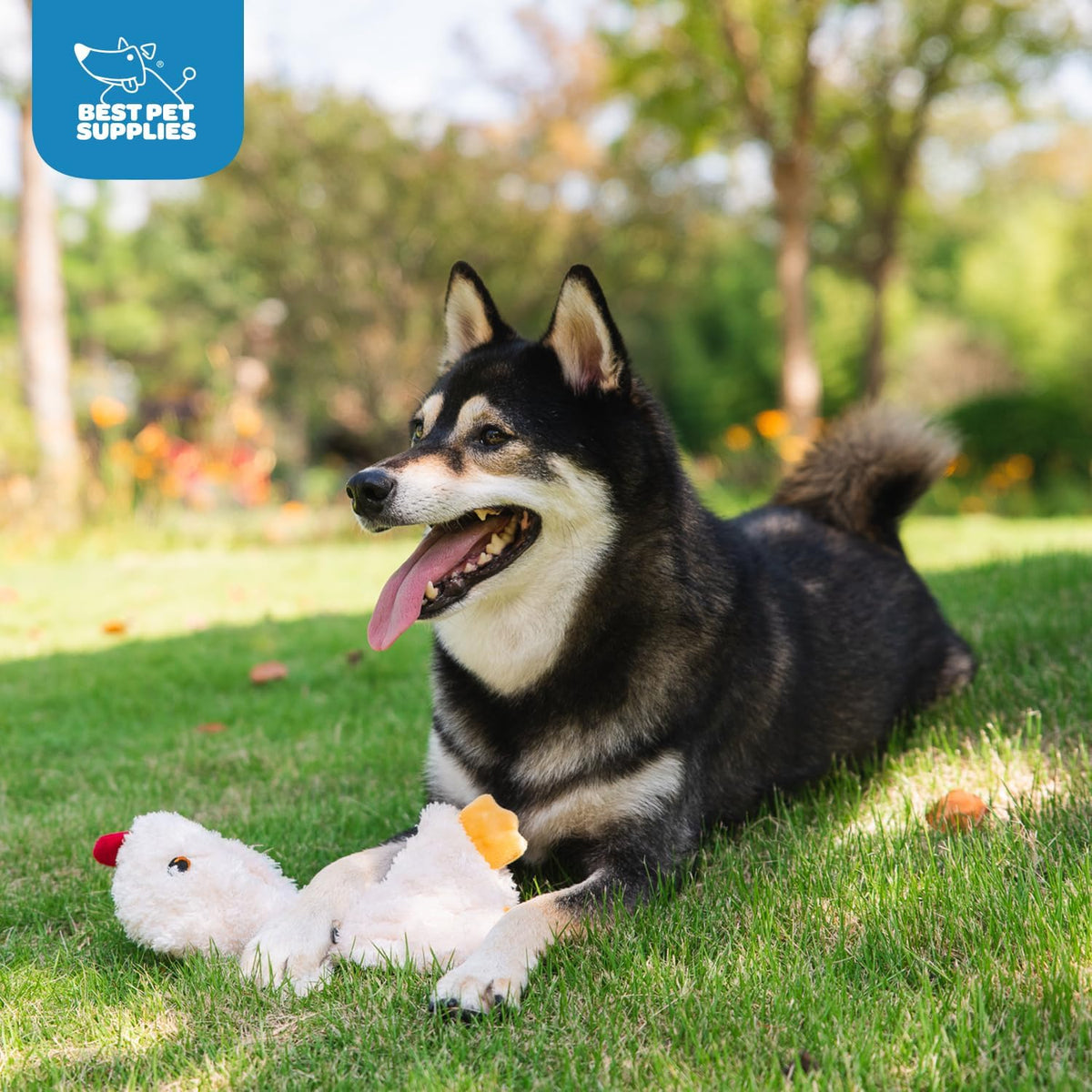 Best Pet Supplies Interactive Squeaky Dog Toy - Crinkle Duck, Yellow | Stuffing Free Body, Soft, Squeaks & Crinkles, No Mess, Perfect for Moderate Chewers, Toss and Fetch Play