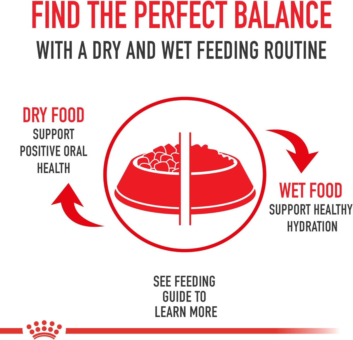 Royal Canin Size Health Nutrition Medium Adult Dry Dog Food, 17 lb Bag