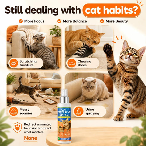 Cat Deterrent Spray for Furniture Protection, Anti Scratch and Urine Marking, Plant-Based Safe Formula for Indoor & Outdoor 150ML 4