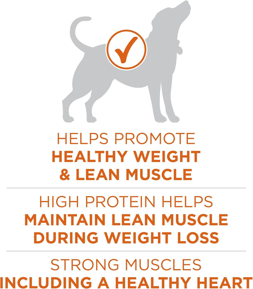 Purina ONE Plus Healthy Weight Dry Dog Food, Real Turkey, 31.1 lb Bag