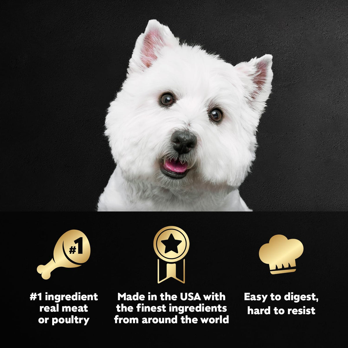 Cesar Classic Loaf in Sauce Wet Dog Food, Meaty Selects, 3.5 oz, 36 Count | Made in USA, Real meat #1 ingredient, no fillers or artificial flavors, formulated without grains, easy peel trays