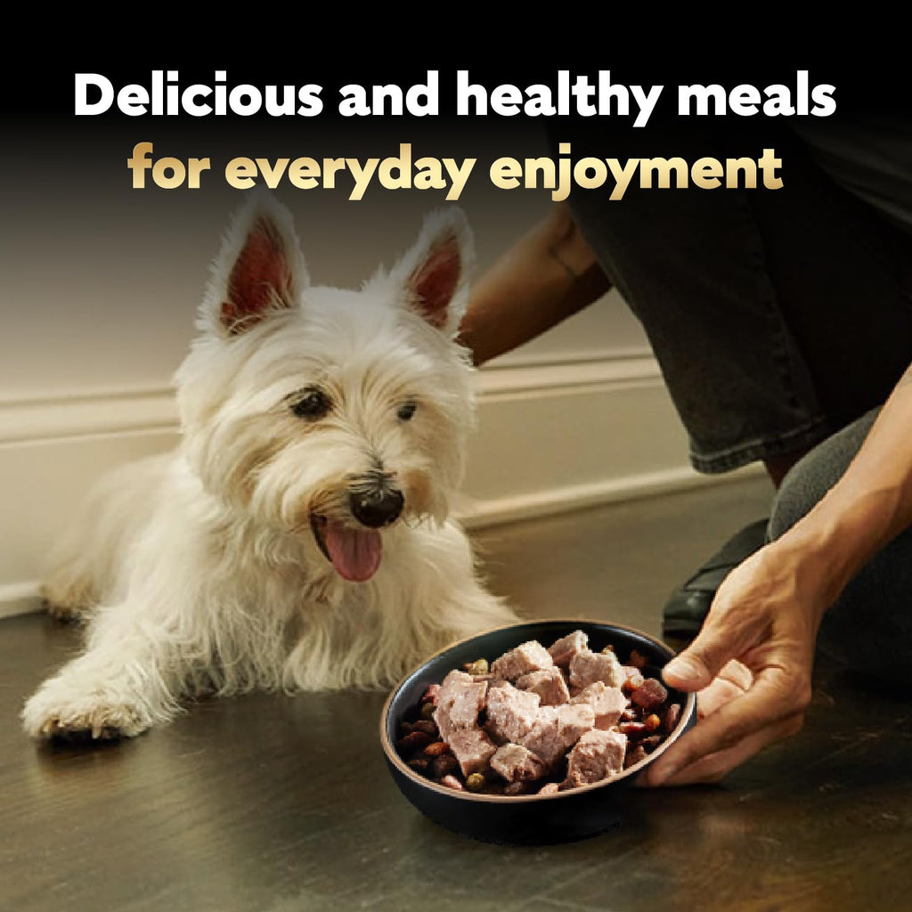 Cesar Classic Loaf in Sauce Wet Dog Food, Meaty Selects, 3.5 oz, 36 Count | Made in USA, Real meat #1 ingredient, no fillers or artificial flavors, formulated without grains, easy peel trays
