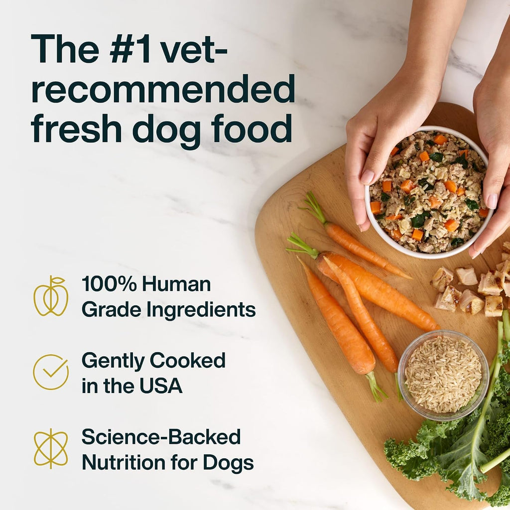 JustFoodForDogs JustFresh Fresh Wet Dog Food or Topper - Chicken, 7 Pack