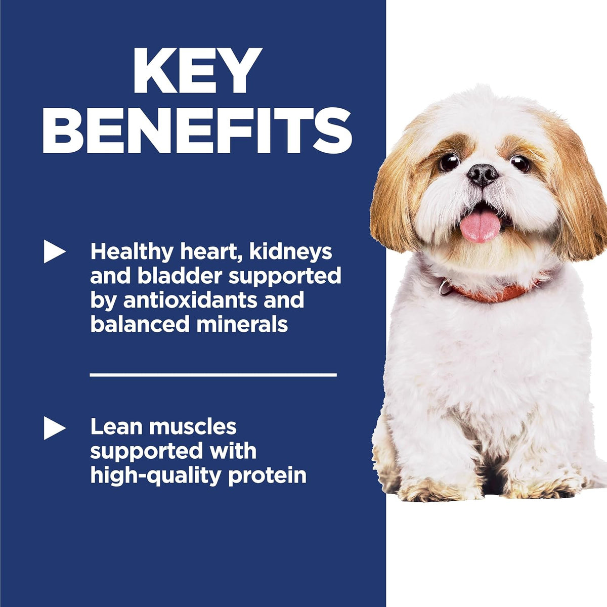 Hill's Science Diet Adult 7+ Small Bites Dry Dog Food
