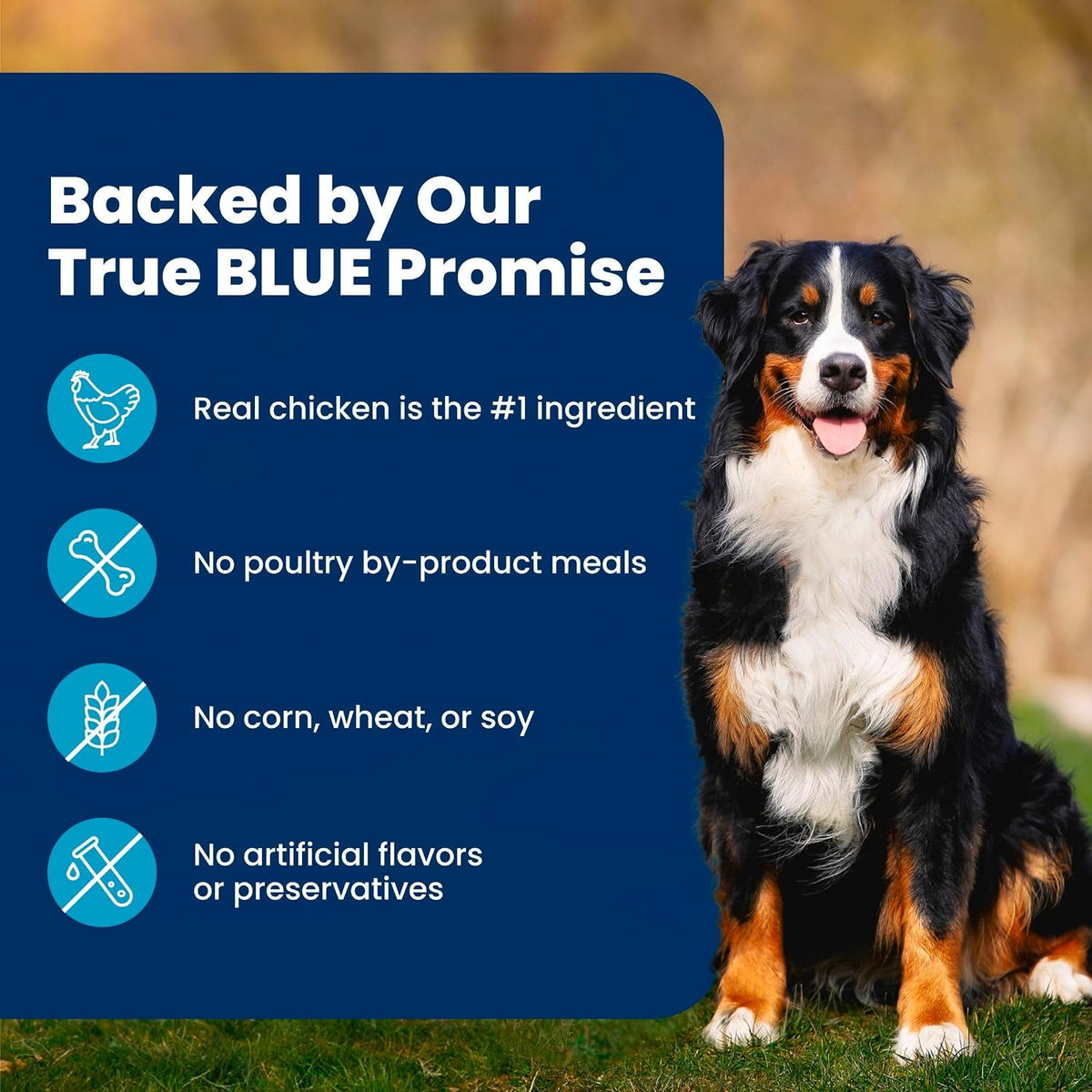 Blue Buffalo Life Protection Formula Chicken Adult Dry Dog Food, 30 lb