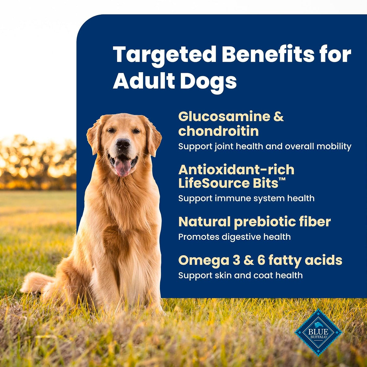 Blue Buffalo Life Protection Formula Chicken Adult Dry Dog Food, 30 lb