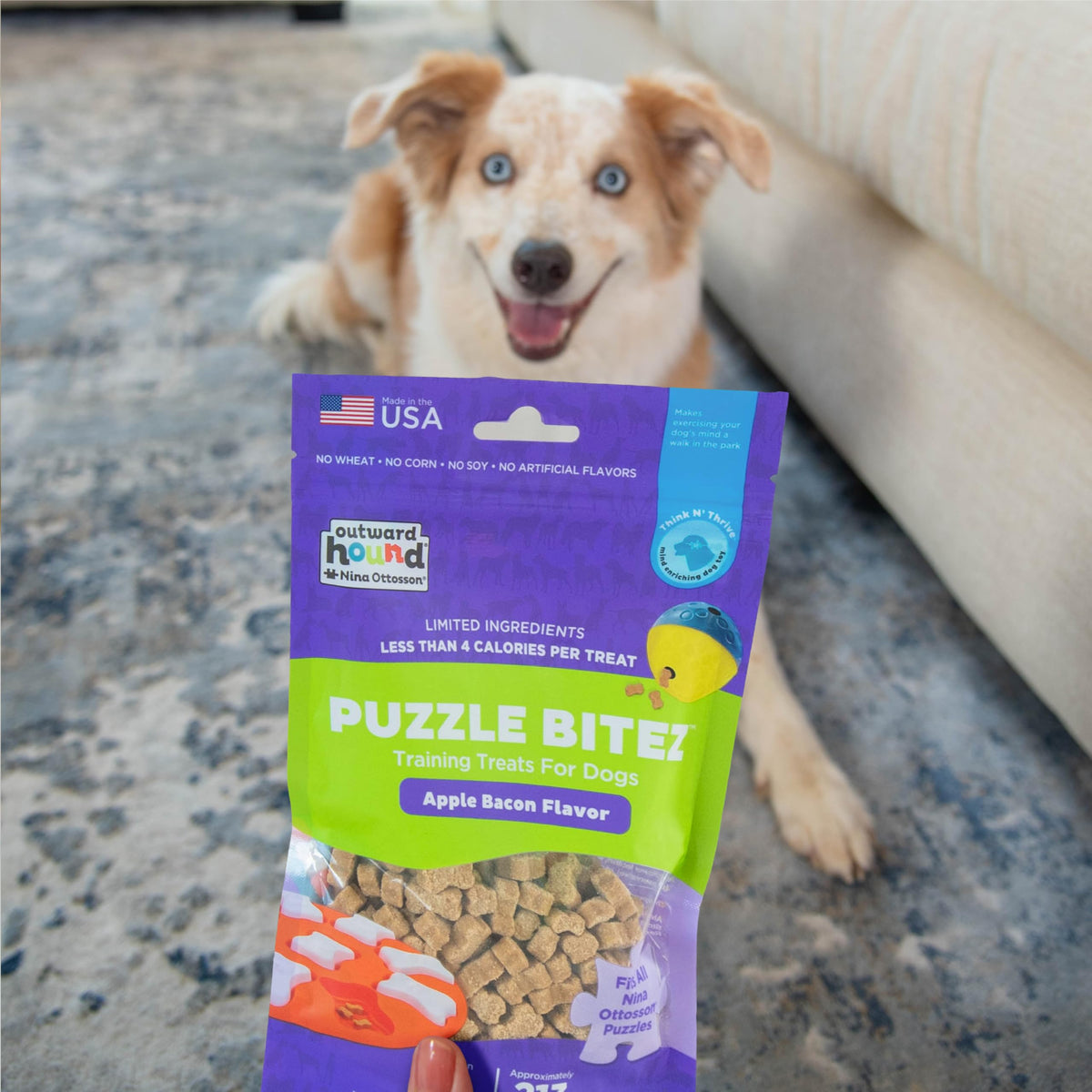 Outward Hound Nina Ottosson Puzzle Bitez Dog Treats, Peanut Butter, 7.5 oz | USA Made, Healthy Bite-Sized Treats for Training Reward & Interactive Puzzle Toys, No Artificial Additives, Dogs & Puppies