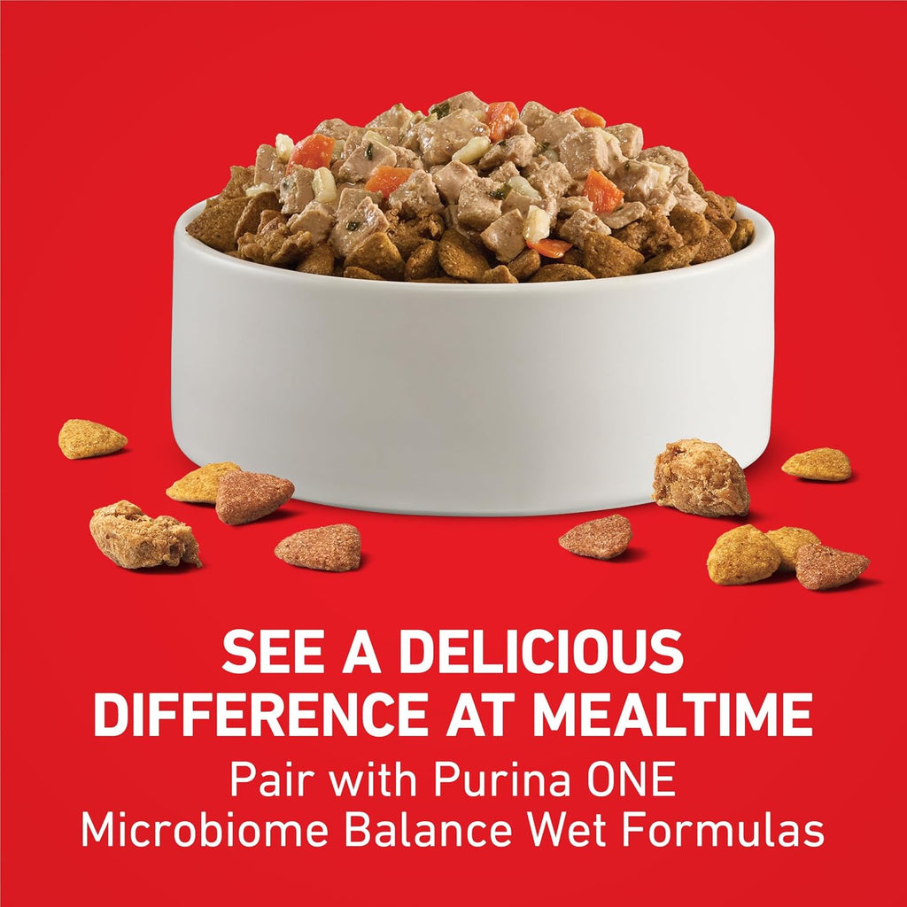 Purina ONE Lamb and Rice Formula Dry Dog Food for Digestive Support