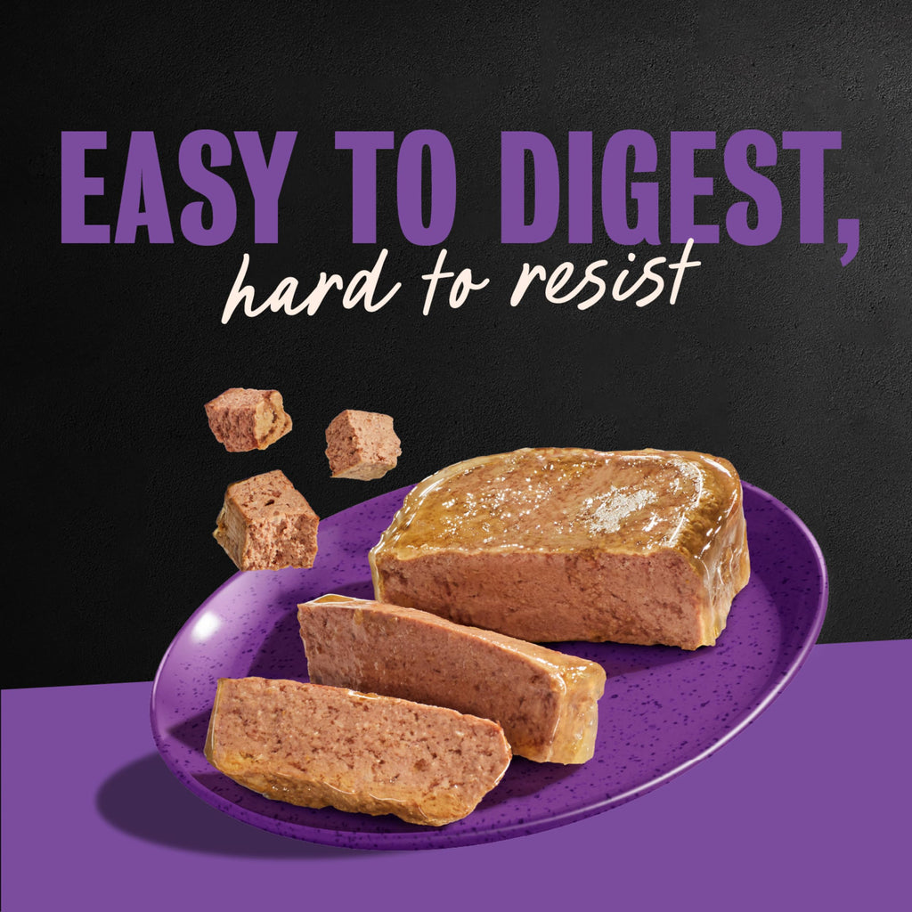 Cesar Classic Loaf in Sauce Wet Dog Food, Meaty Selects, 3.5 oz, 36 Count | Made in USA, Real meat #1 ingredient, no fillers or artificial flavors, formulated without grains, easy peel trays