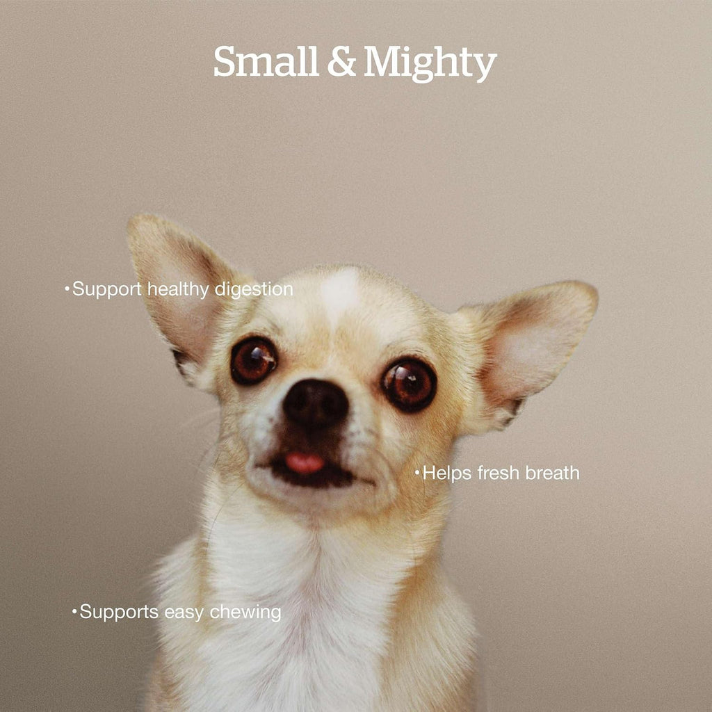 Now Fresh Small Breed Adult Dry Dog Food, Turkey, Salmon & Duck, 22 lb