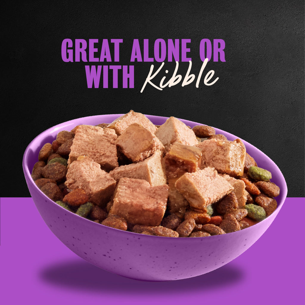 Cesar Classic Loaf in Sauce Wet Dog Food, Meaty Selects, 3.5 oz, 36 Count | Made in USA, Real meat #1 ingredient, no fillers or artificial flavors, formulated without grains, easy peel trays