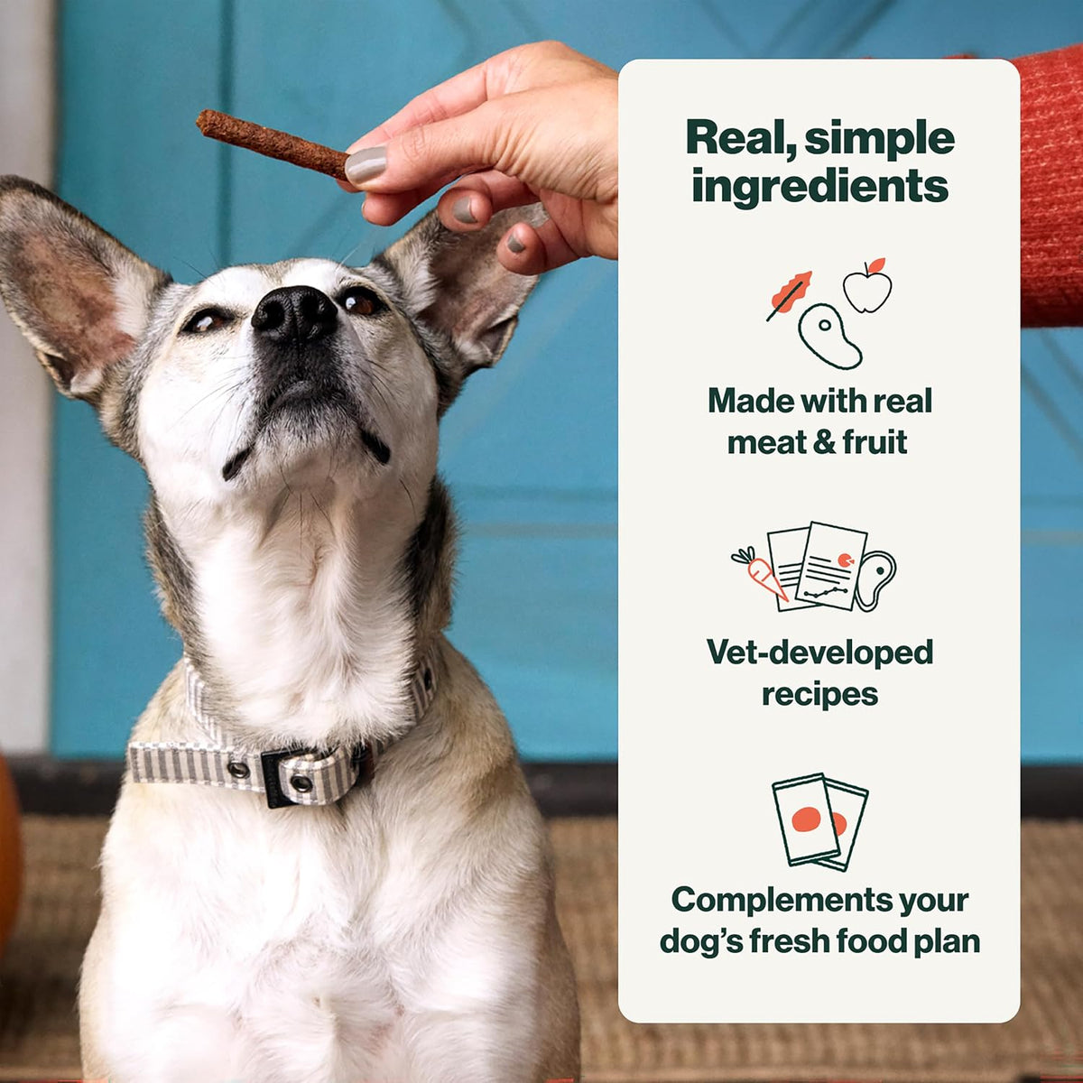 The Farmer's Dog Snap Sticks, Human Grade Dog Treats, Beef & Apple 3oz