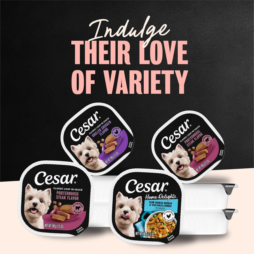 Cesar Classic Loaf in Sauce Wet Dog Food, Meaty Selects, 3.5 oz, 36 Count | Made in USA, Real meat #1 ingredient, no fillers or artificial flavors, formulated without grains, easy peel trays