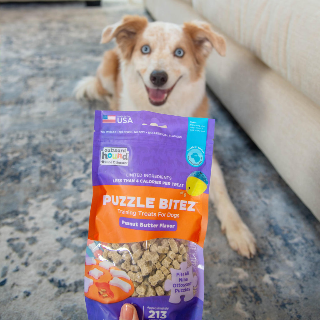 Outward Hound Nina Ottosson Puzzle Bitez Dog Treats, Peanut Butter, 7.5 oz | USA Made, Healthy Bite-Sized Treats for Training Reward & Interactive Puzzle Toys, No Artificial Additives, Dogs & Puppies