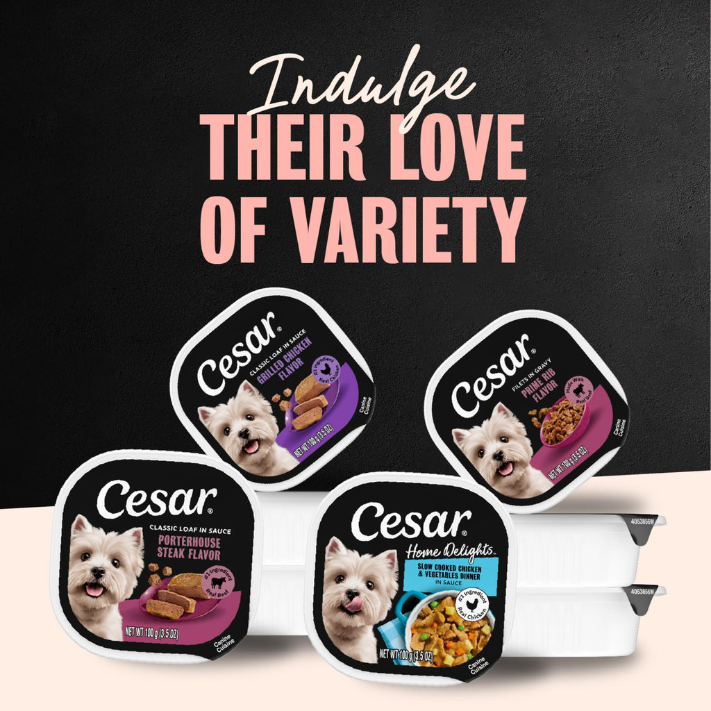 Cesar Classic Loaf in Sauce Wet Dog Food, Meaty Selects, 3.5 oz, 36 Count | Made in USA, Real meat #1 ingredient, no fillers or artificial flavors, formulated without grains, easy peel trays