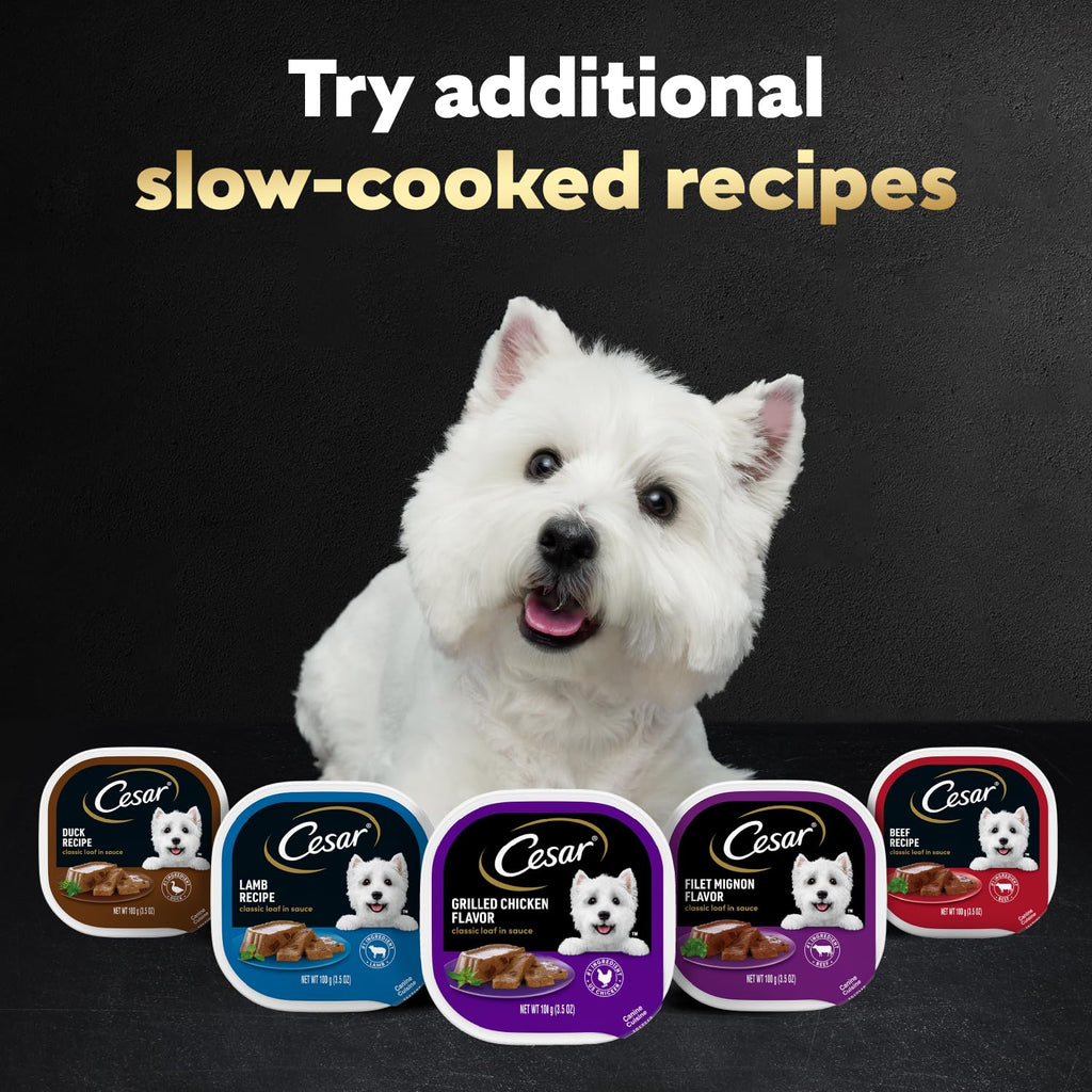 Cesar Classic Loaf in Sauce Wet Dog Food, Meaty Selects, 3.5 oz, 36 Count | Made in USA, Real meat #1 ingredient, no fillers or artificial flavors, formulated without grains, easy peel trays