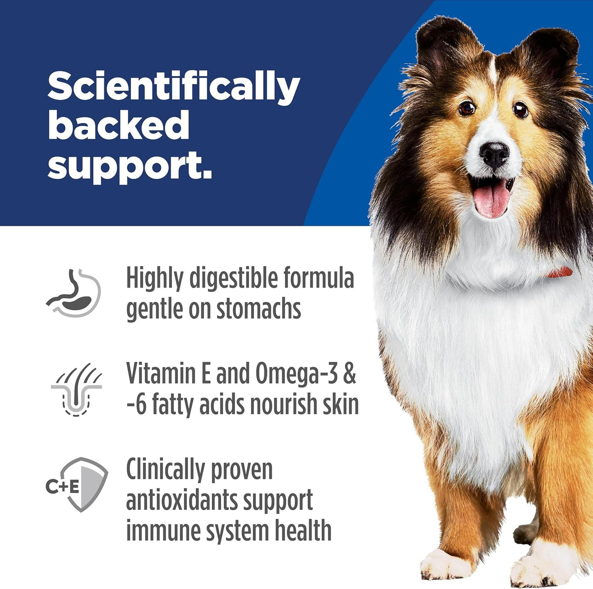 Hill's Science Diet Sensitive Stomach & Skin Dry Dog Food